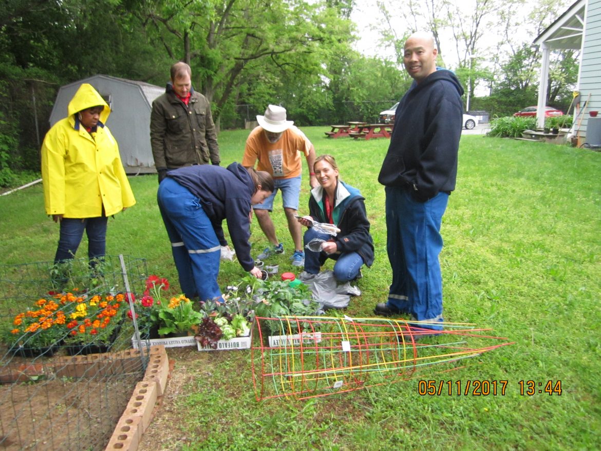 United Way Community Garden Project